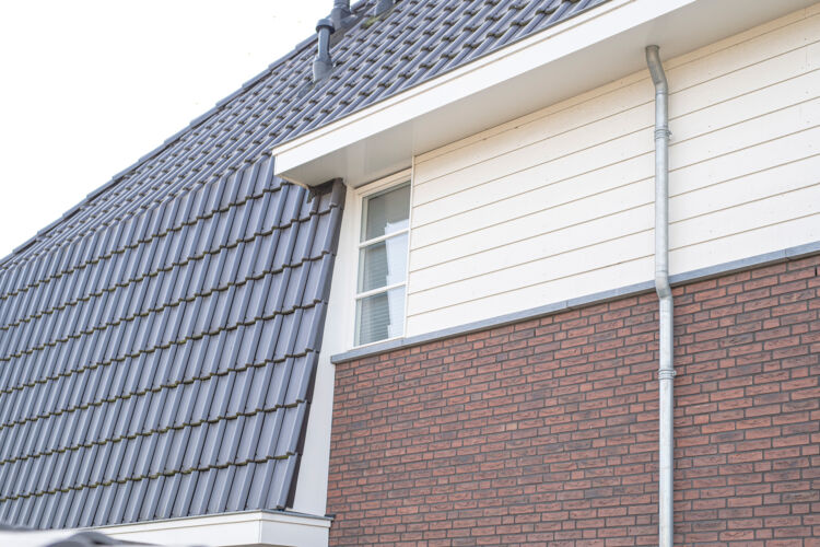 BME-_pho7795-Meelzolder-34-36-LR-17