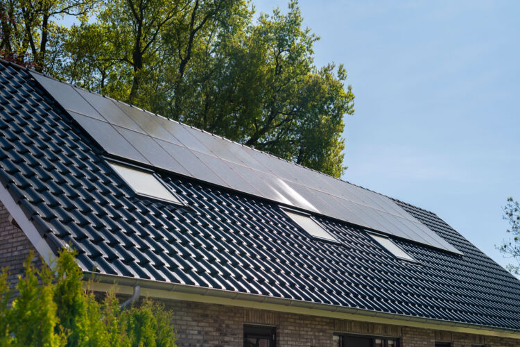 BME-_62f8485-Coolwagenhof-2-Hierden-LR-8